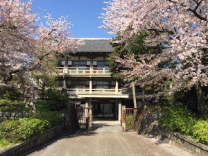 2017.04.20桜と同朋会館2