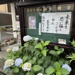 掲示板2025.06