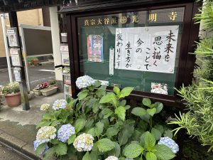 掲示板2025.06